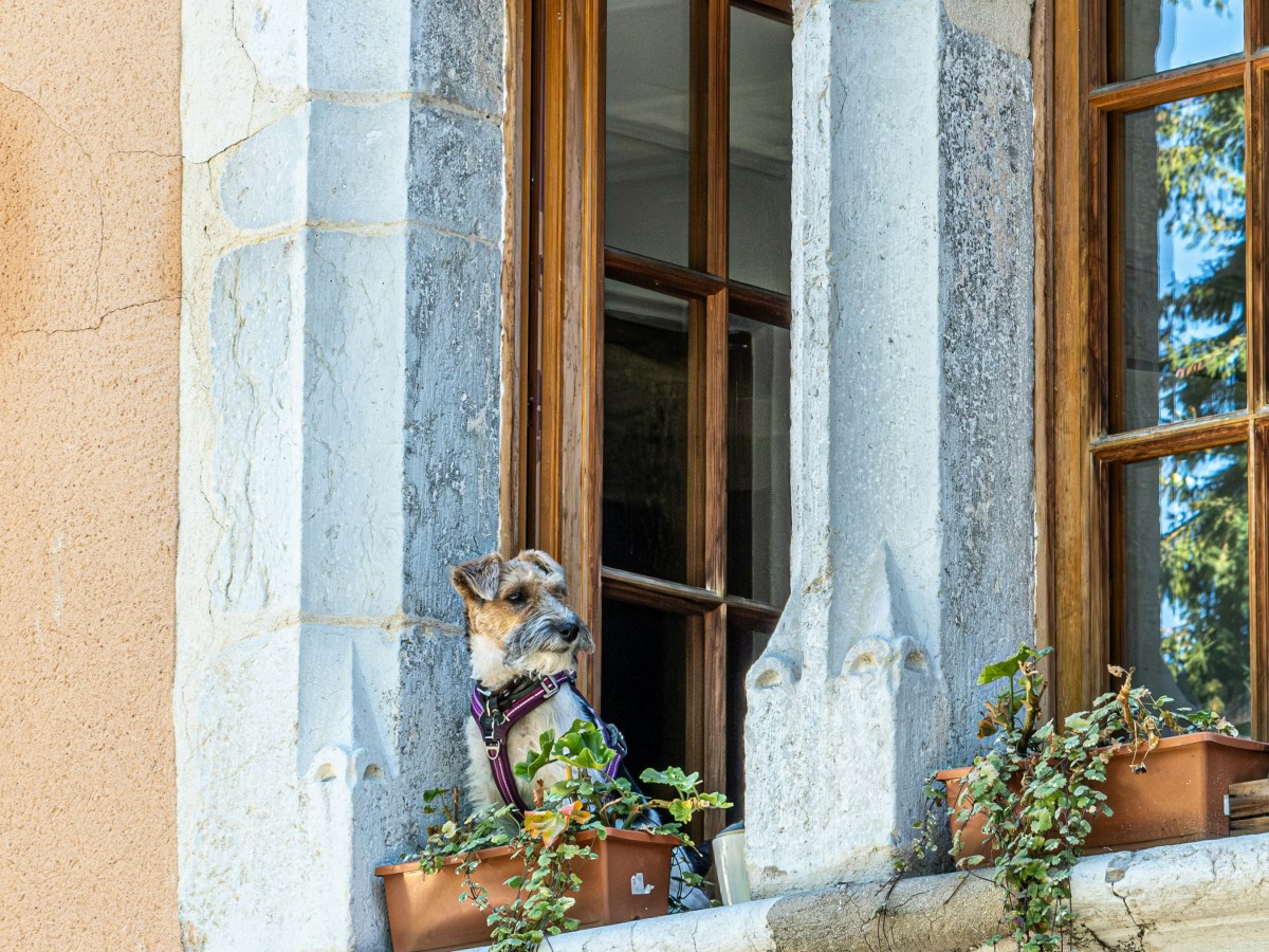 Agatha Christie – Dumb Witness&nbsp;(1937)