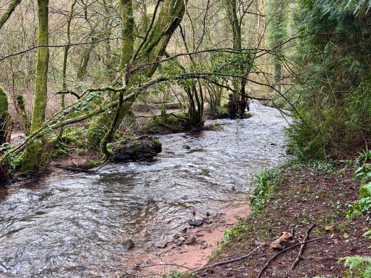 Gaynor Torrance – Death of a Ghostwriter&nbsp;(2025)