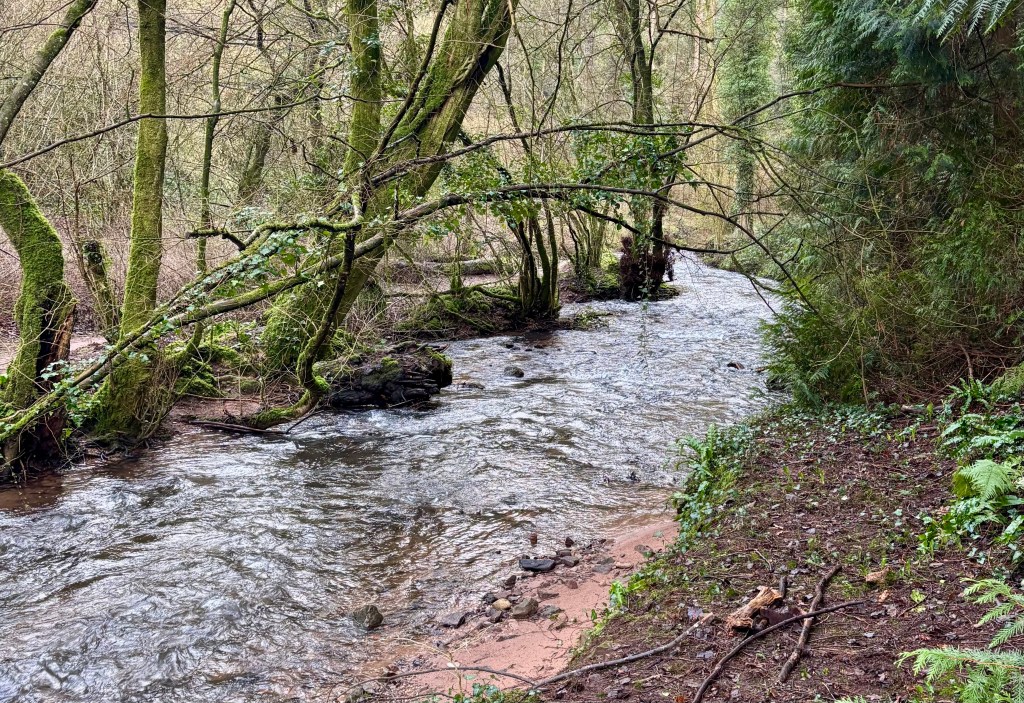 Gaynor Torrance – Death of a Ghostwriter&nbsp;(2025)